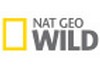 Nat Geo Wild (Português)