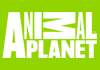 Animal Planet